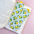 Marque Pages Bianca