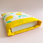 Pochette Livre Linette